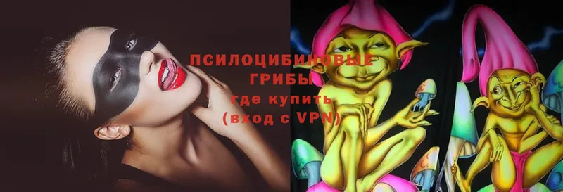 дарк нет клад  ссылка на мегу ONION  Муром  Псилоцибиновые грибы Psilocybine cubensis 